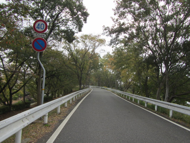 a0251786_1840459.jpg