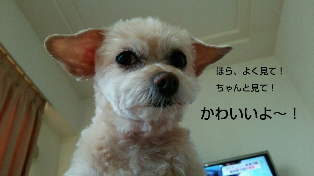 c0109891_07520545.jpg