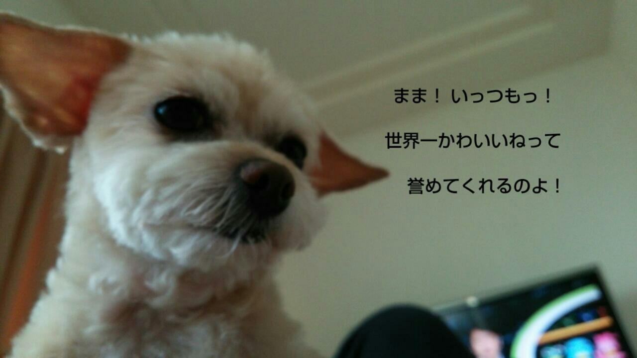 c0109891_07520603.jpg