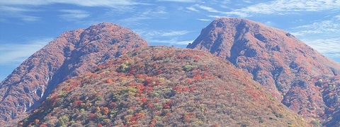 a0222494_15561388.jpg