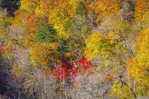 c0352894_11424572.jpg
