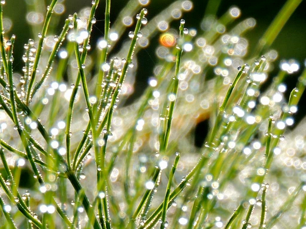 c0265095_21574984.jpg
