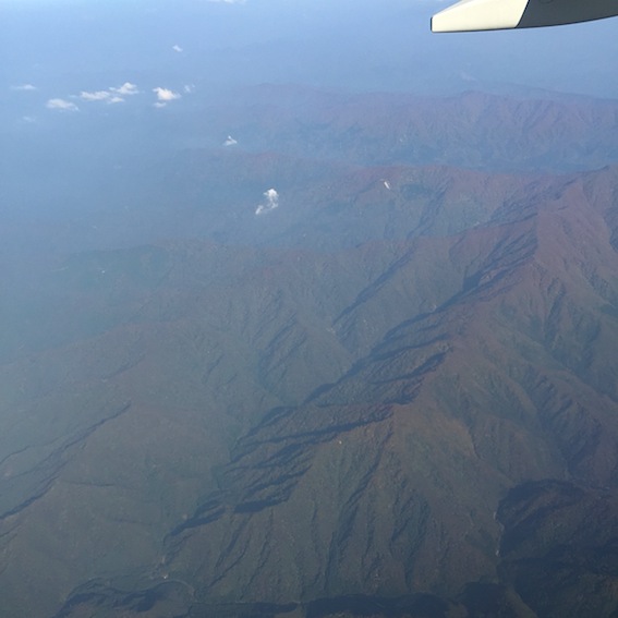 f0108399_1073965.jpg