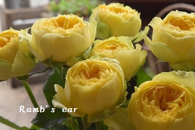 e0128909_22144560.jpg