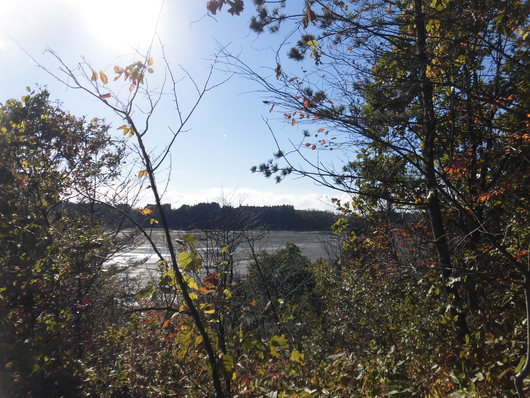 b0035611_20464186.jpg