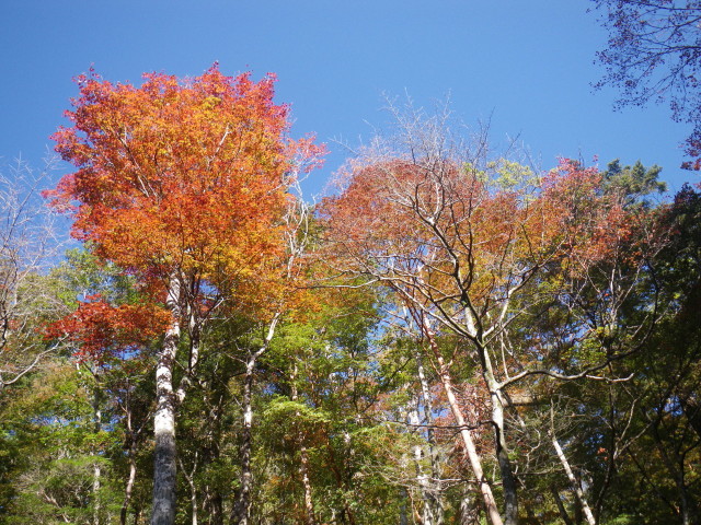 d0006512_00171555.jpg