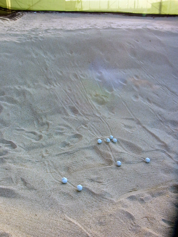 e0083517_21334273.jpg