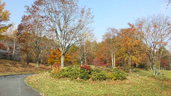 e0047322_23284945.jpg