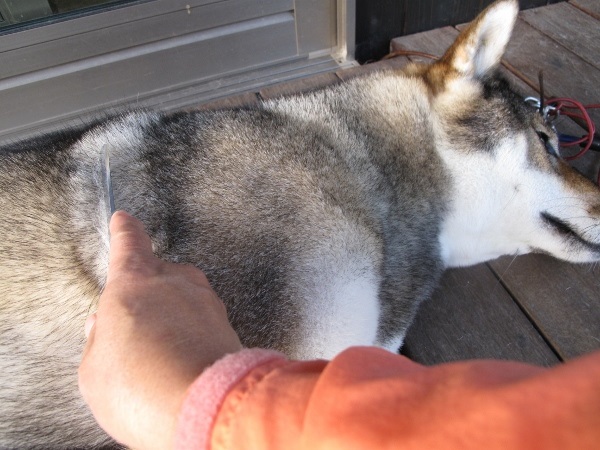f0143123_20272852.jpg