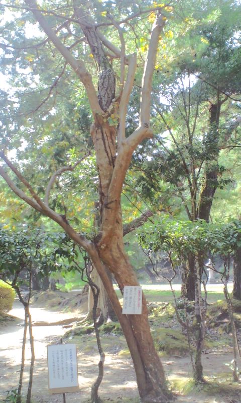 e0050324_2223656.jpg