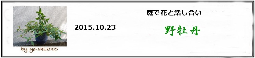 e0033229_20244518.jpg