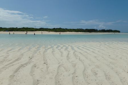 c0148238_2341674.jpg