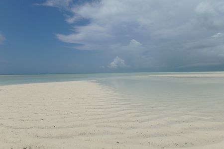 c0148238_2342119.jpg