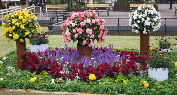 b0178339_12000268.jpg
