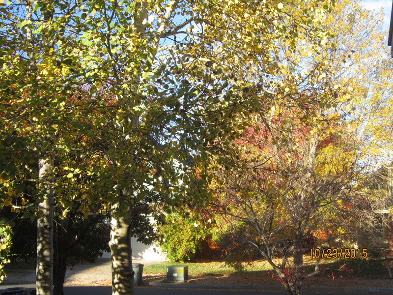 a0204348_2336665.jpg
