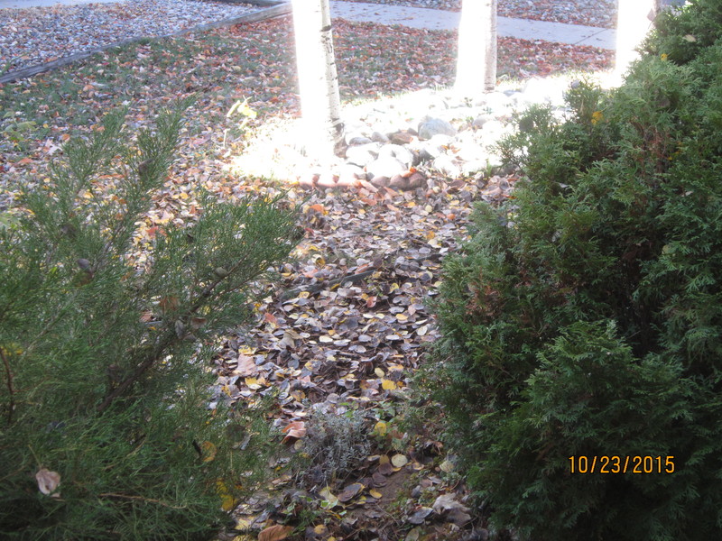 a0204348_2342478.jpg