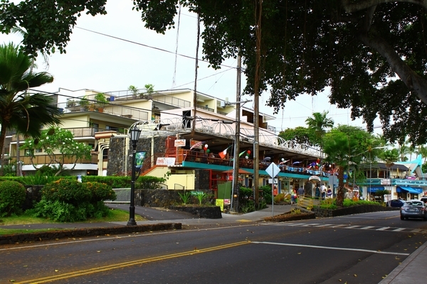 a0090451_12440289.jpg