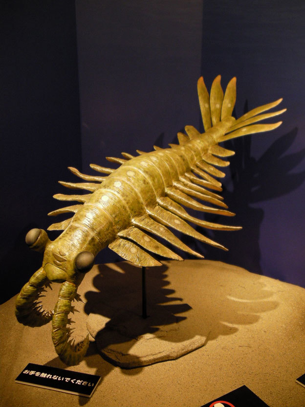 e0294253_17264696.jpg