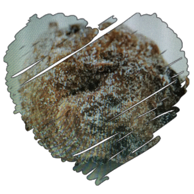 d0018957_14512250.jpg