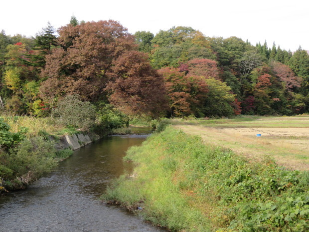 b0311459_13201341.jpg