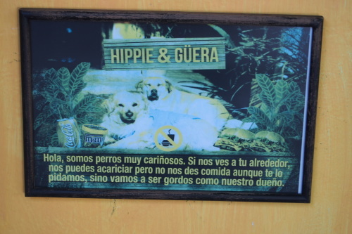 c0351060_06022759.jpg