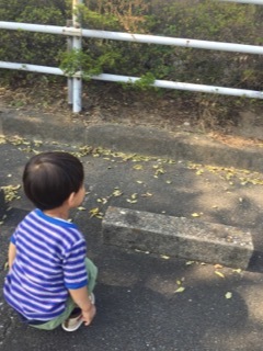 e0275660_16505437.jpeg