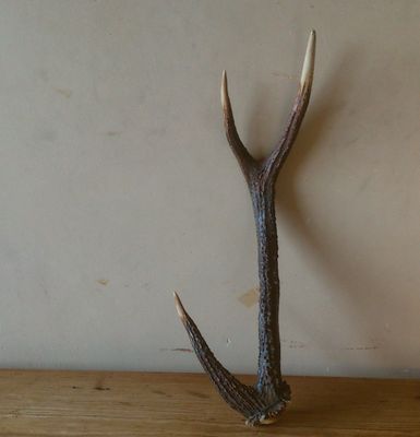 e0025765_16161089.jpg