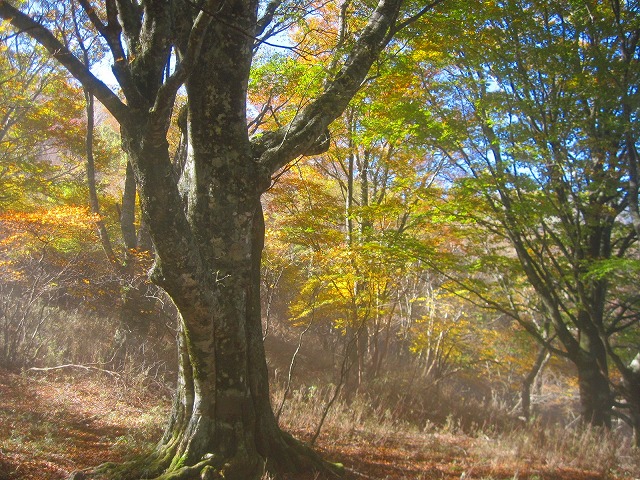 c0219866_17565514.jpg