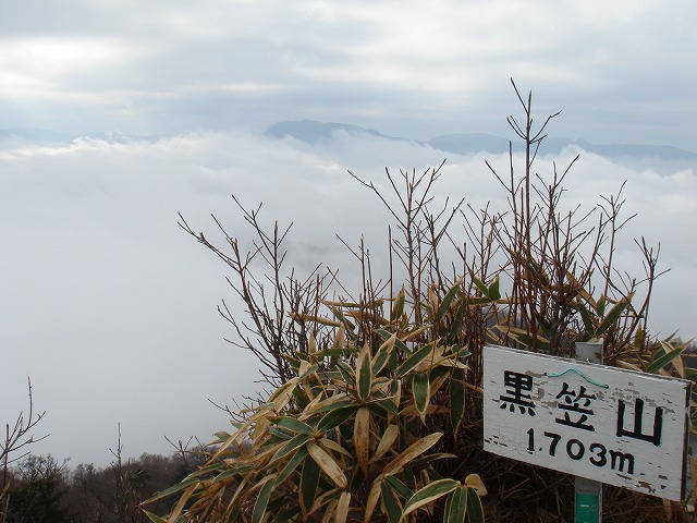 c0219866_17575218.jpg