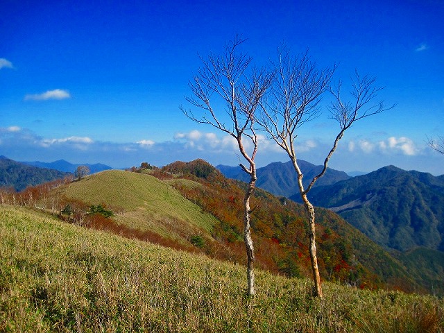 c0219866_17581826.jpg