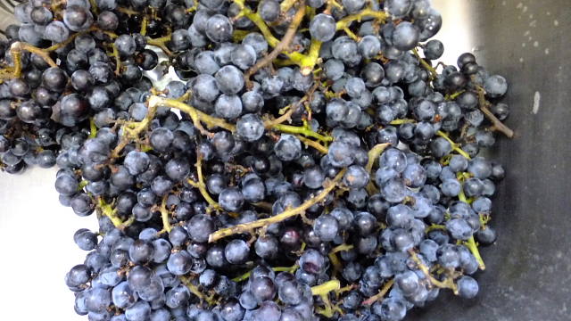 c0022275_9193379.jpg