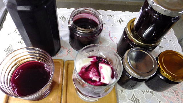 c0022275_925313.jpg