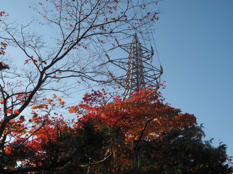c0183777_16262677.jpg