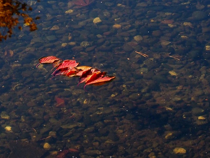 c0183777_1652445.jpg