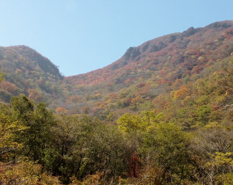 f0082181_9552138.jpg
