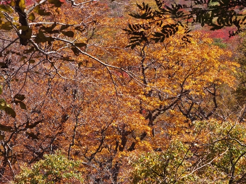 f0082181_958224.jpg