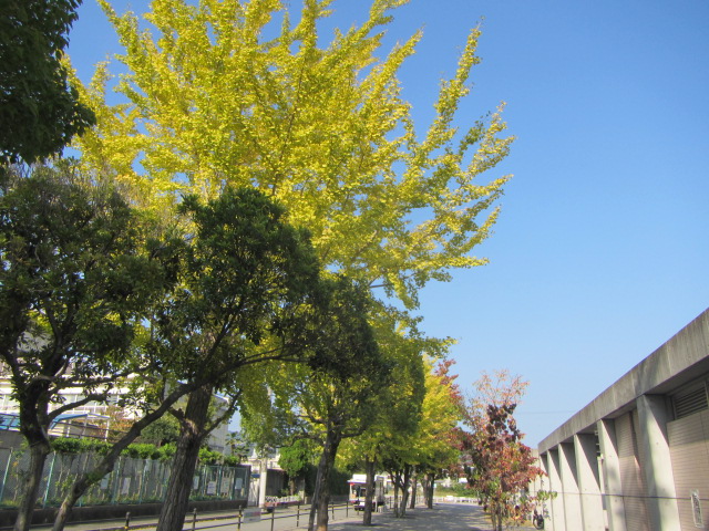 a0251786_21285641.jpg