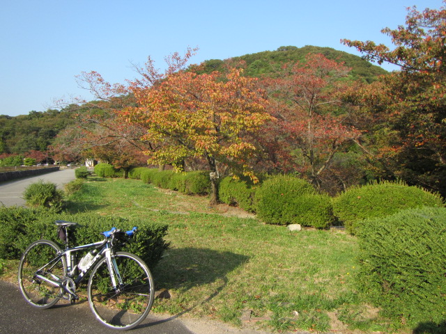a0251786_21333940.jpg