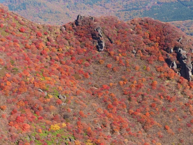 f0357487_22135623.jpg