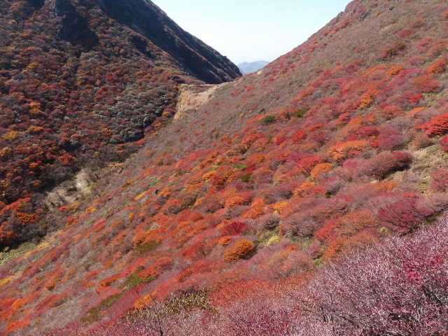 f0357487_22313291.jpg