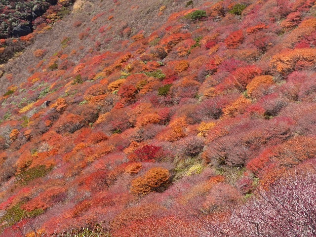 f0357487_22314426.jpg