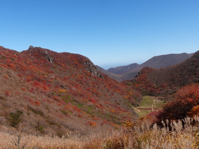 f0357487_22341897.jpg
