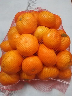 b0266191_91132100.jpg