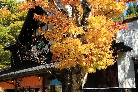 a0222494_20542011.jpg