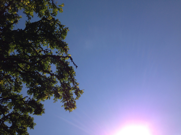 c0145897_19001632.jpg