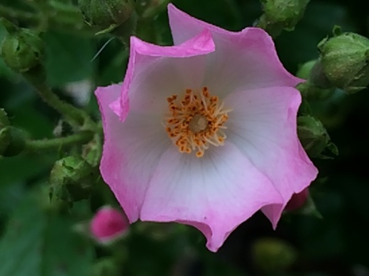 f0201297_23550031.jpg