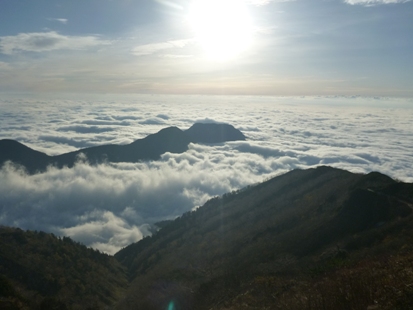 e0077899_83305.jpg