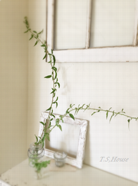 a0051108_12581445.png