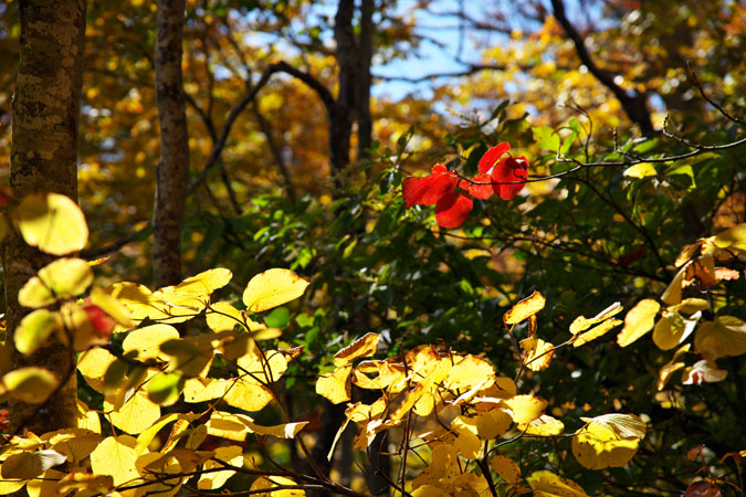 a0263109_13242675.jpg