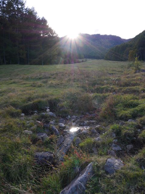 e0087511_1526484.jpg